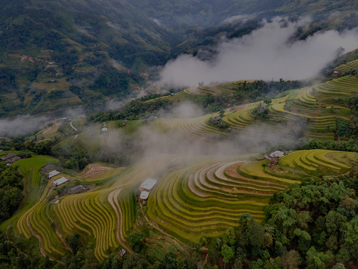 Hoang Su Phi Terraced Fields